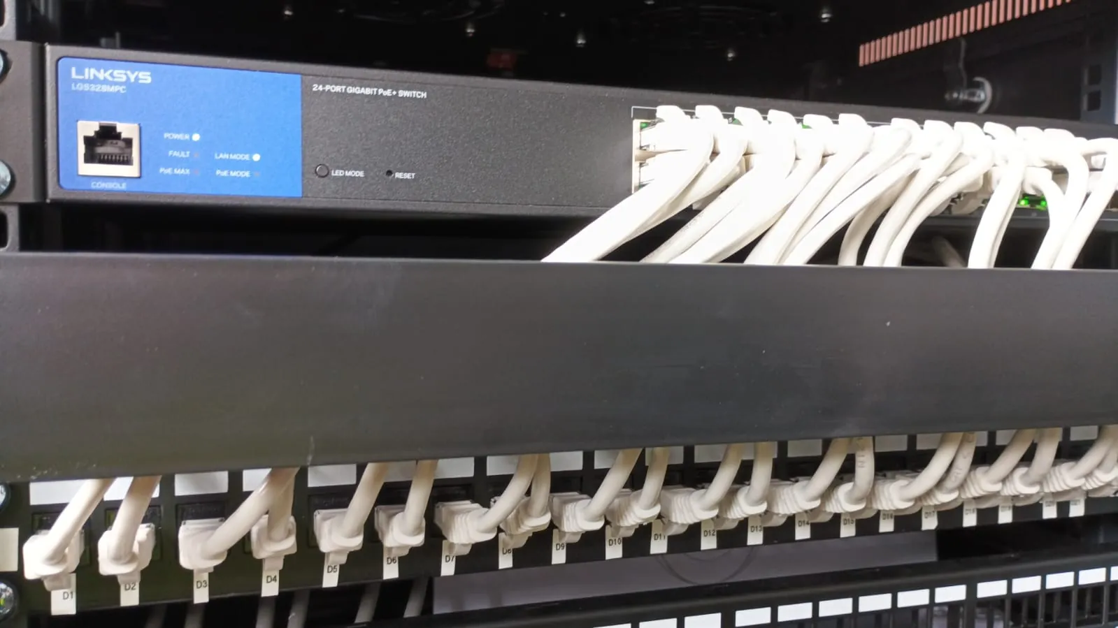 Detalle de las terminaciones de red conectadas al patch panel